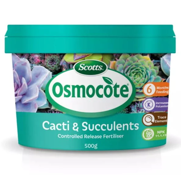 Best selling products